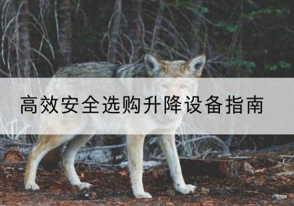 雅安升降货梯厂家推荐-*安全选购升降设备指南
