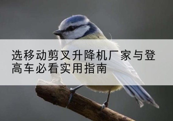 雅安电动升降机厂家-选移动剪叉升降机厂家与登高车必看实用指南
