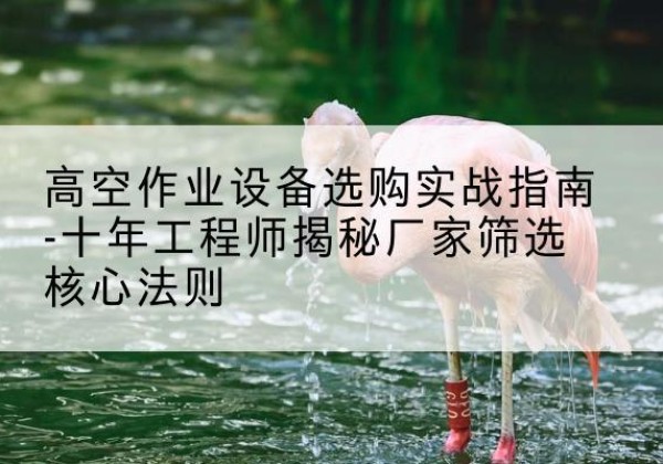 雅安剪叉式升降机厂家-高空作业设备选购实战指南-十年工程师揭秘厂家筛选核心法则